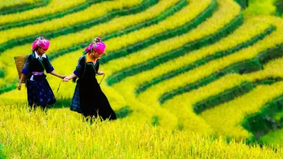 10 Beautiful Images of Asia from Instagram main image