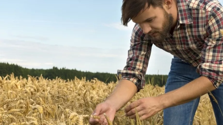 Five Reasons Agriculture Courses are Trending Right Now main image