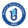 Bartin University Logo