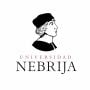 Nebrija University Logo