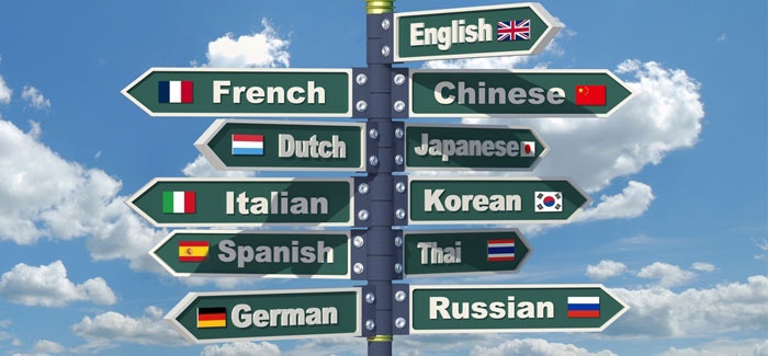 7 Steps to Learn a New Language main image