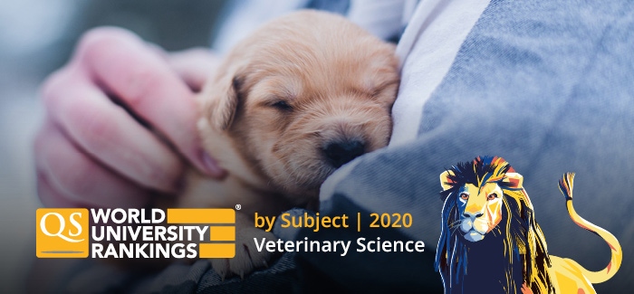 Top Universities for Veterinary Science in 2020 | Top Universities