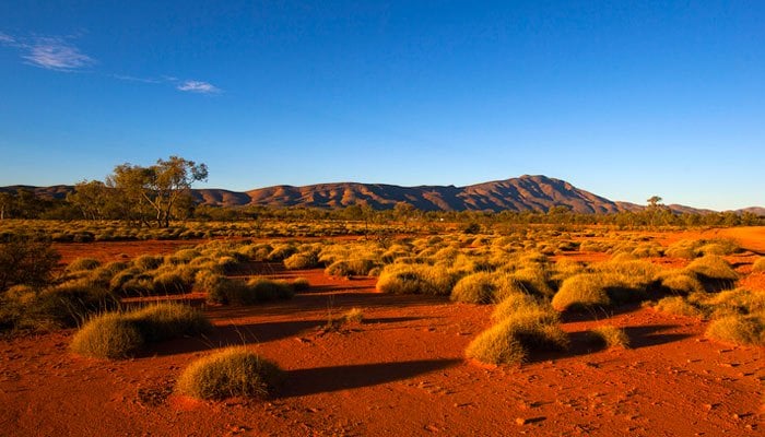 Australian outback
