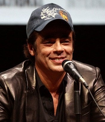 Benicio Del Toro 