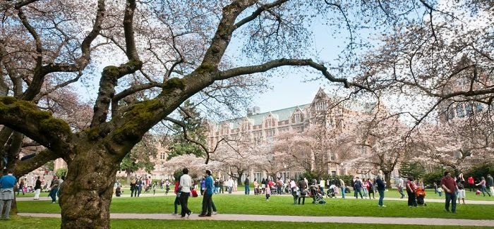 What Is A University Top Universities