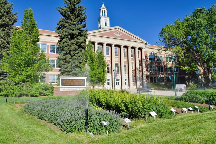 Colorado State University