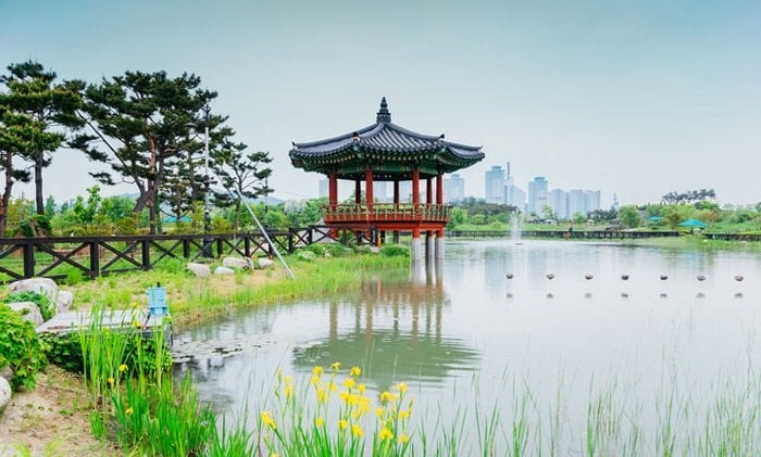 Daejeon