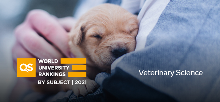 Top Universities For Veterinary Science In 2021 Top Universities