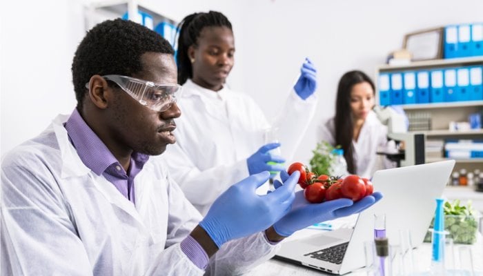 What Can You Do With a Food Science Degree? | Top Universities