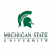 Michigan State (Broad);MS Marketing Research Logo