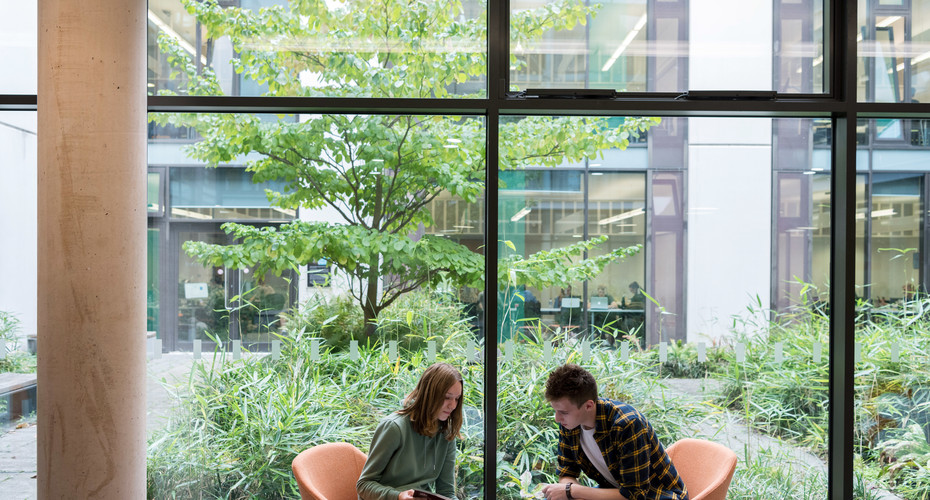 University of Exeter : Rankings, Fees & Courses Details | Top Universities