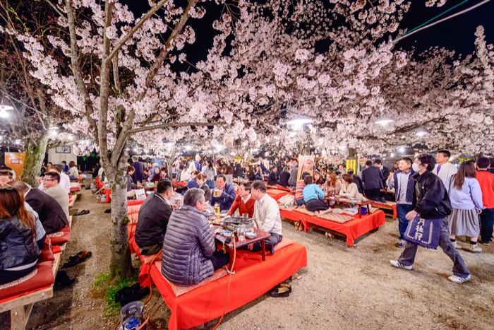 Sakura Matsuri 