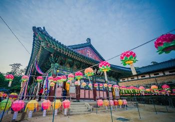 Study in South Korea student cities