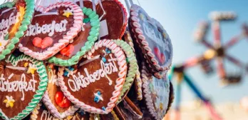 Seven Reasons to Study Business in Munich