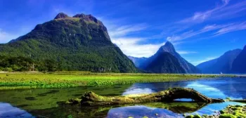 Scholarships to Study in New Zealand main image