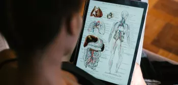 Anatomy drawings on an iPad