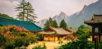 Top 10 Things to do in South Korea main image
