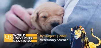 Top Universities for Veterinary Science in 2020 main image