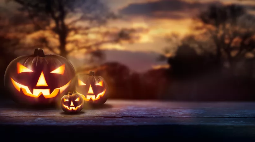 Five Scary Things They Don't Tell You About University