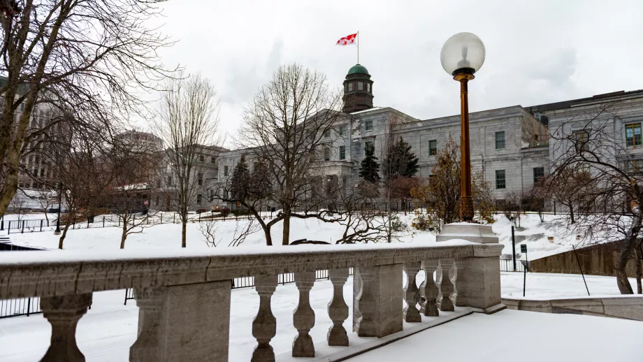 McGill University