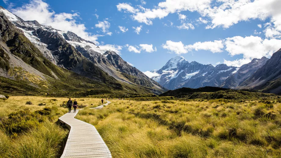 Study in New Zealand