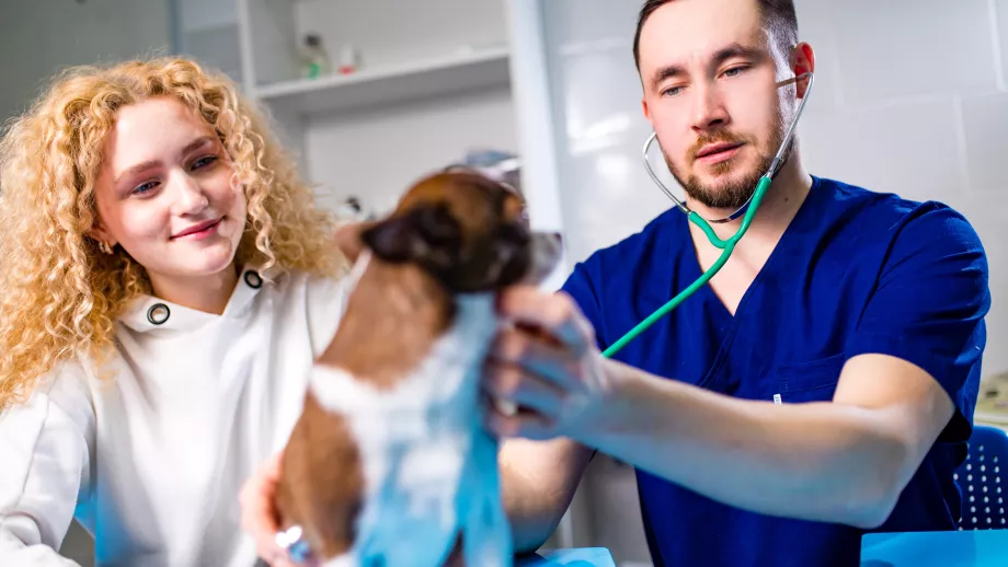 Vet student