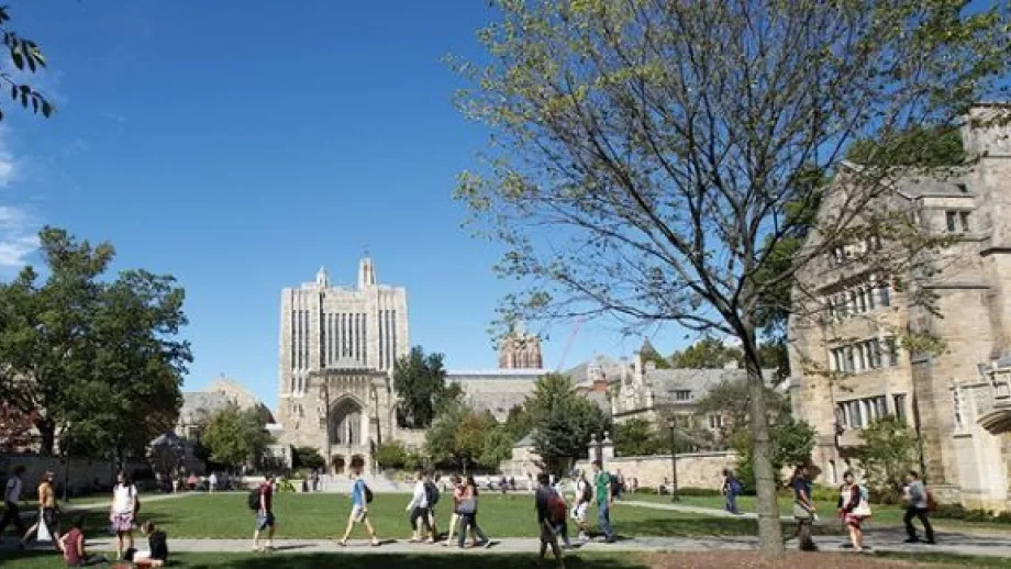 Study at Yale: What’s it Really Like? main image