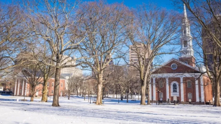 Top Ivy League Schools: Harvard or Yale? main image