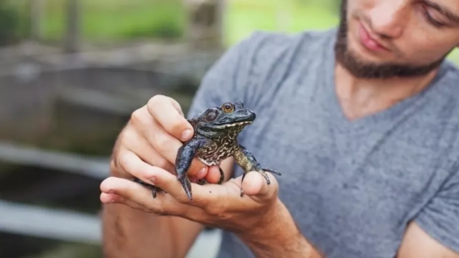 Top Six Jobs with Animals and How to Land Them main image