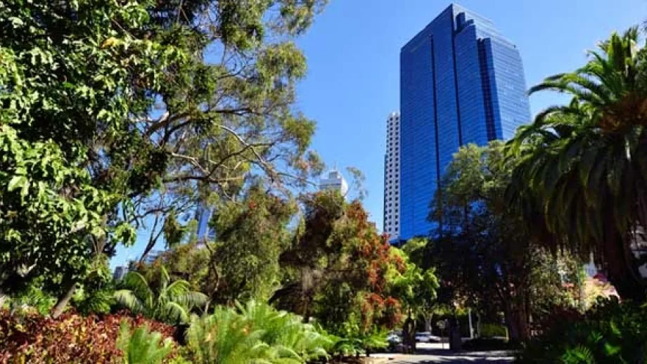 Best Study Spots in Perth main image