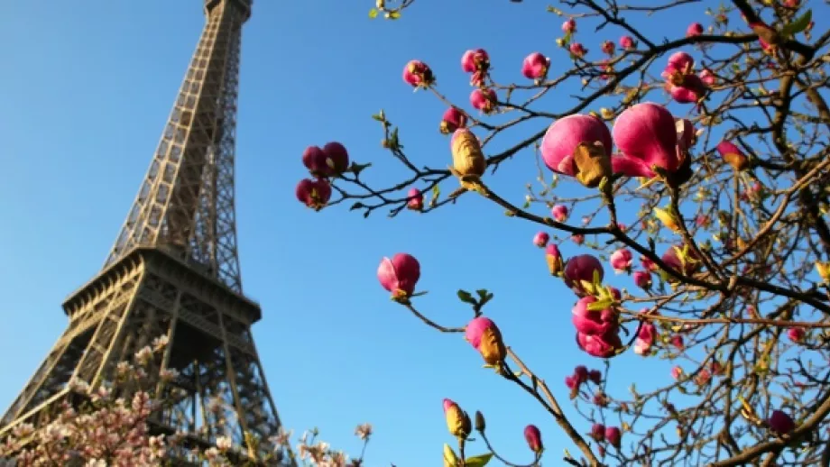 Slideshow: 7 Surprising Facts about Paris main image