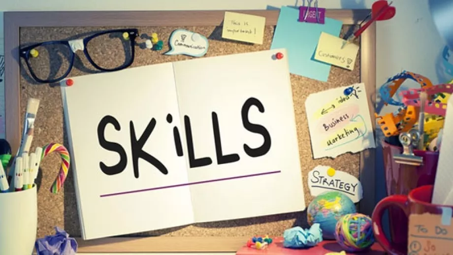 7 Essential Skills Every Graduate Needs in 2017 main image