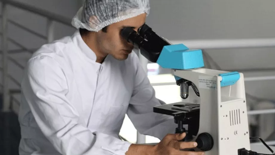 Why You Should Study a Life Sciences Degree main image