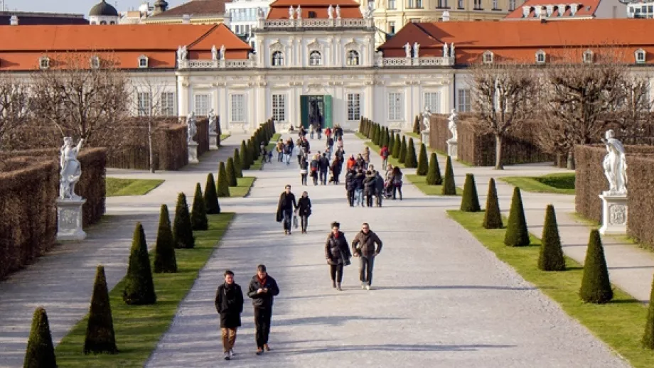 What to Do on Your Year Abroad in Vienna main image