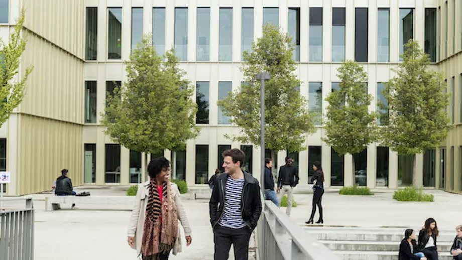 Top Universities for Master's in Management Degrees in 2021 main image