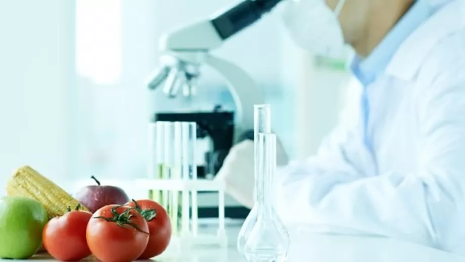 What Can You Do With a Food Science Degree? 