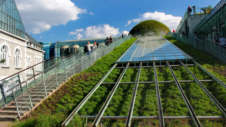 University of Warsaw library rooftop garden