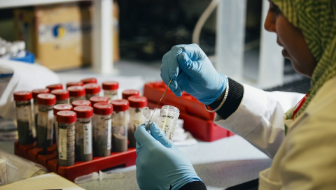 Queens University Belfast - Institute for Global Food Security