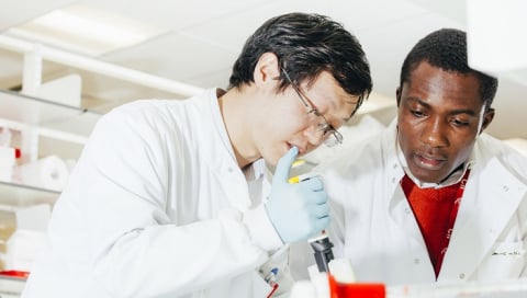 Queens University Belfast - Research