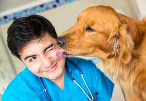 Veterinary physician 