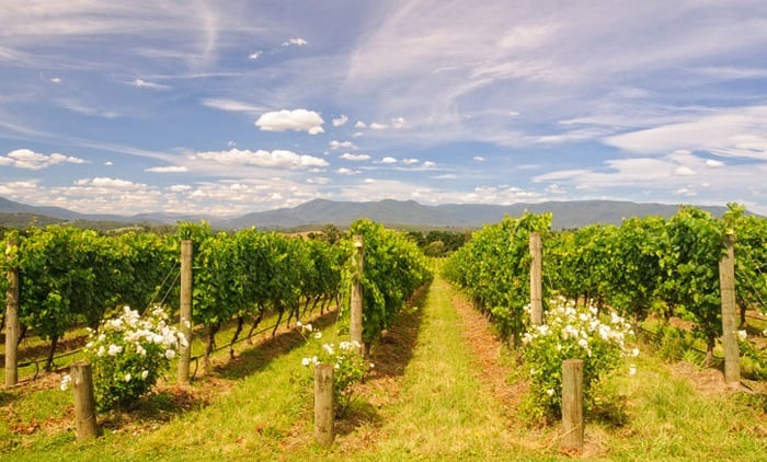 Yarra Valley